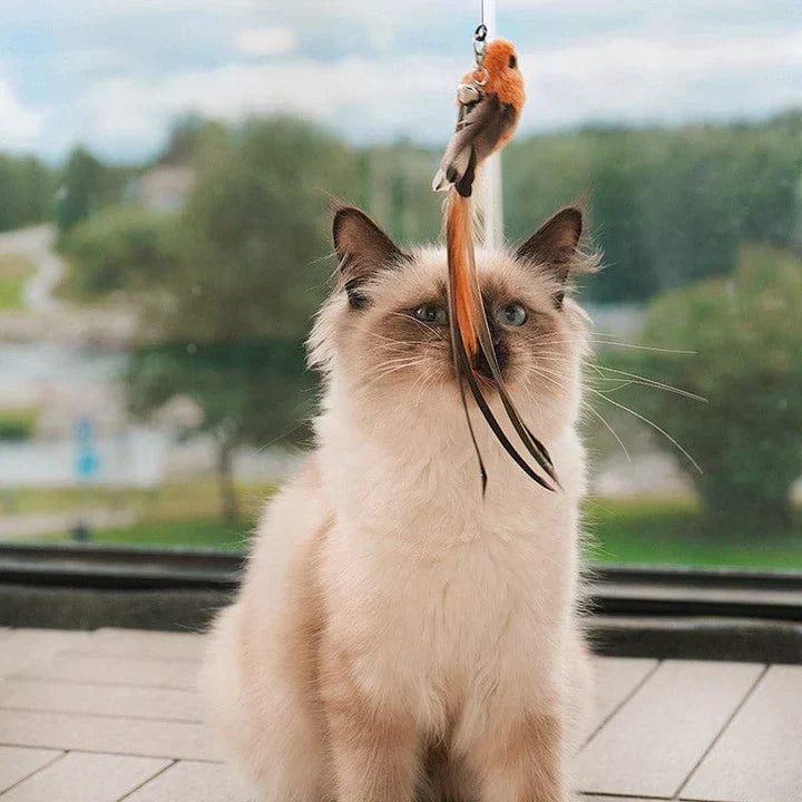 Temps de jeu naturel - Oiseau interactif pour chats