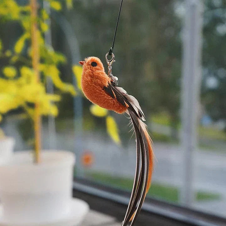 Temps de jeu naturel - Oiseau interactif pour chats