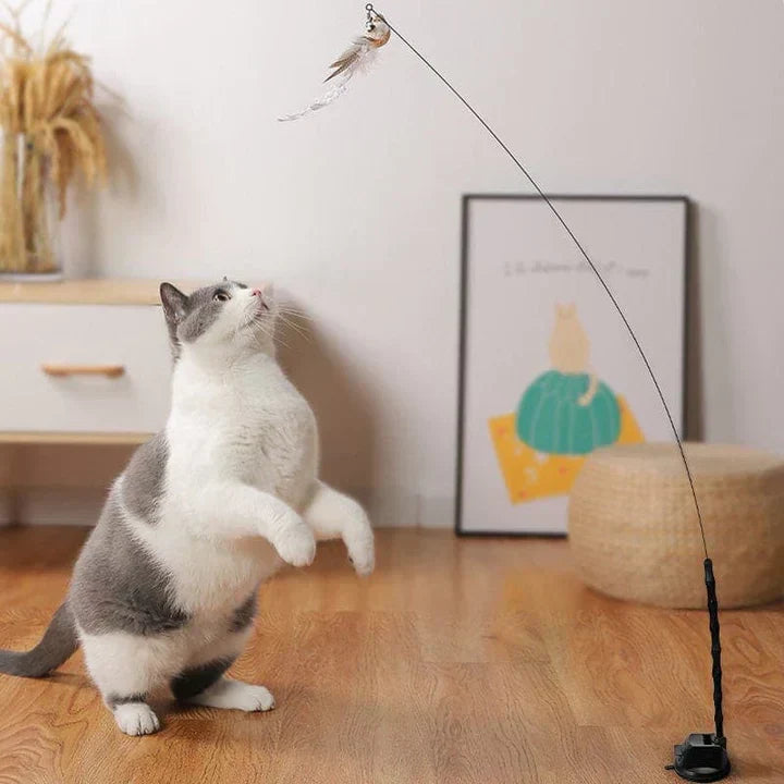 Temps de jeu naturel - Oiseau interactif pour chats