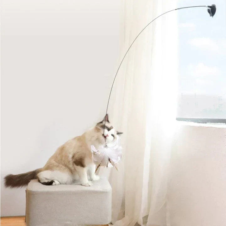 Temps de jeu naturel - Oiseau interactif pour chats