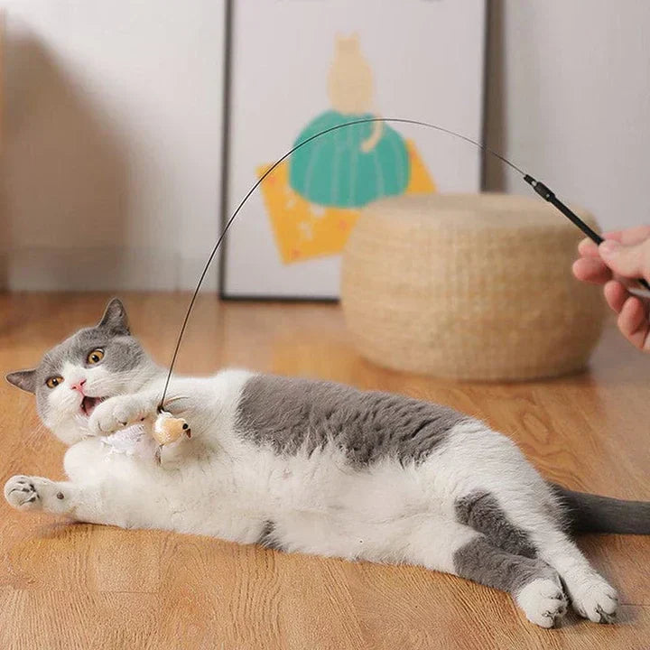 Temps de jeu naturel - Oiseau interactif pour chats