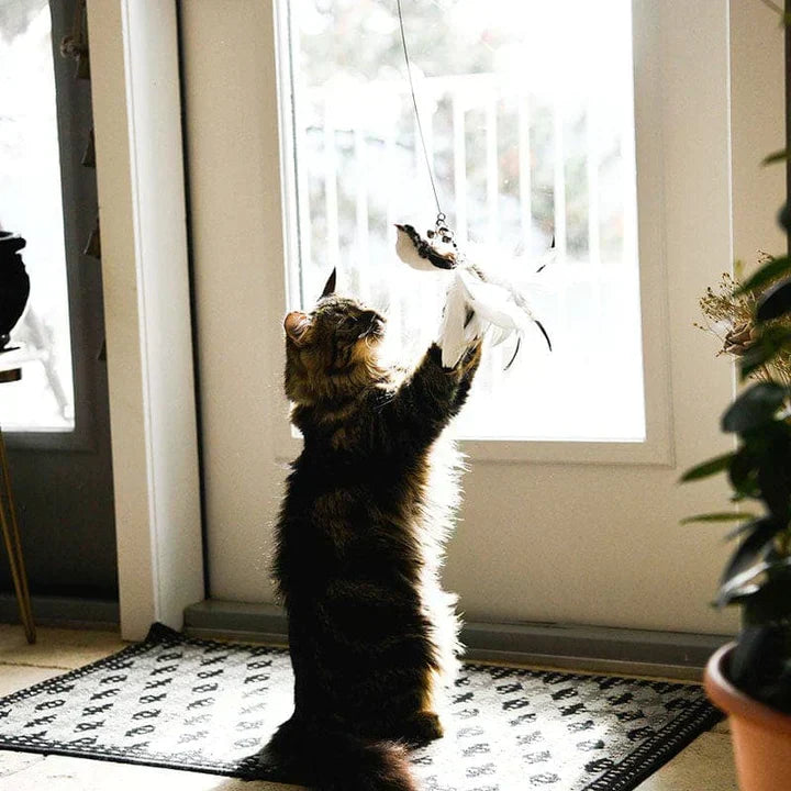 Temps de jeu naturel - Oiseau interactif pour chats
