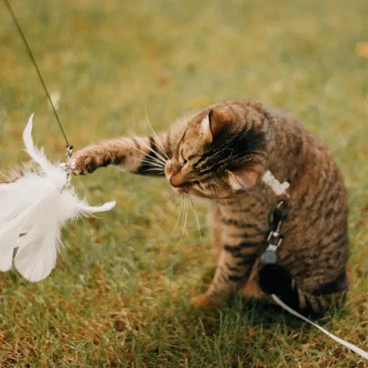 Temps de jeu naturel - Oiseau interactif pour chats