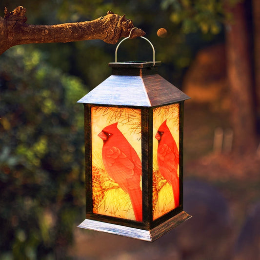Floroux Kardinal-Lanterne | Éclairage LED | Résistant aux intempéries | Design vintage | Décoration pour la maison et le jardin