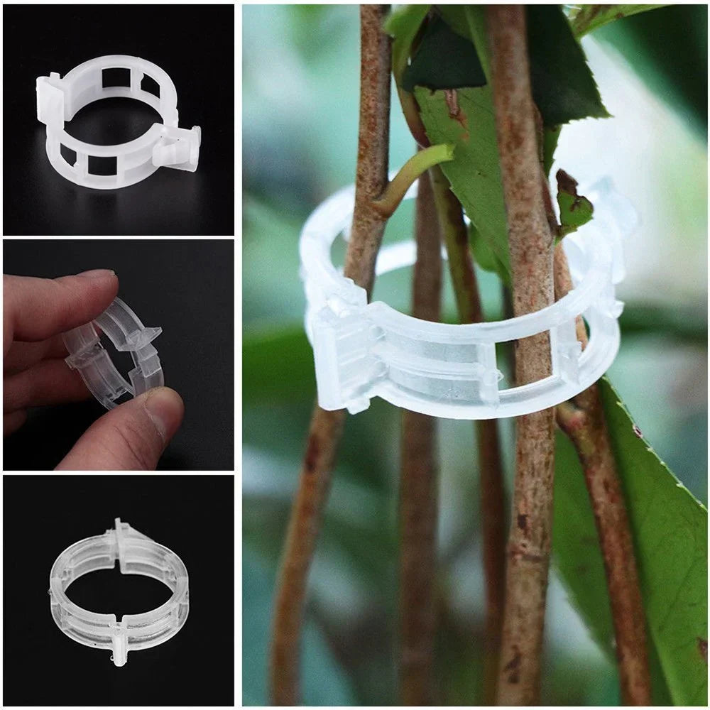 PlantSupport Clips | Améliorez votre expérience de jardinage
