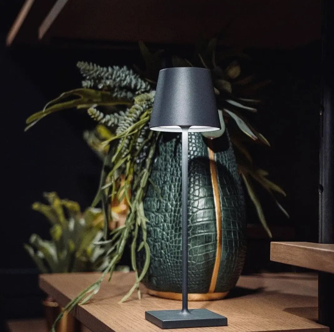 FlexiLumi - Lampe LED Sans Fil avec Recharge USB