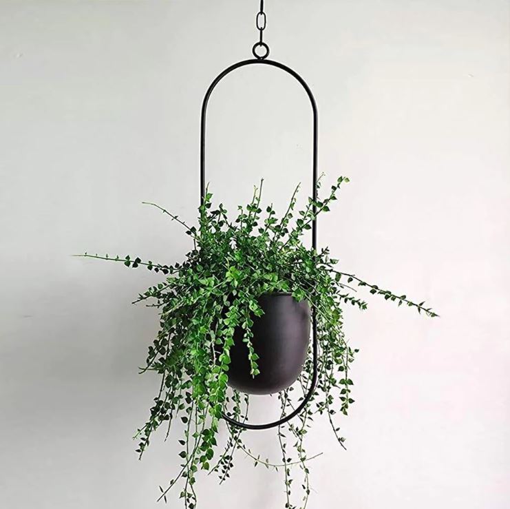 Élégance suspensions de plantes - Suspensions de plantes scandinaves pour un intérieur chic