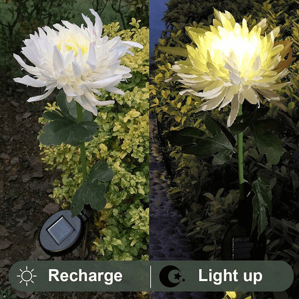 Éclairage LED de jardin Floroux avec énergie solaire