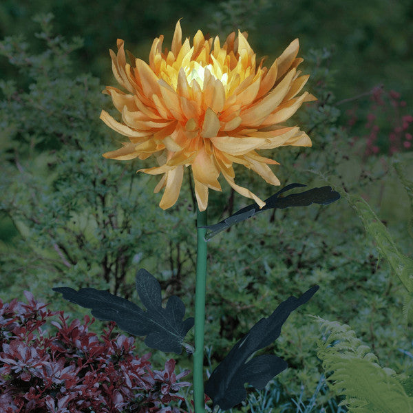 Éclairage LED de jardin Floroux avec énergie solaire