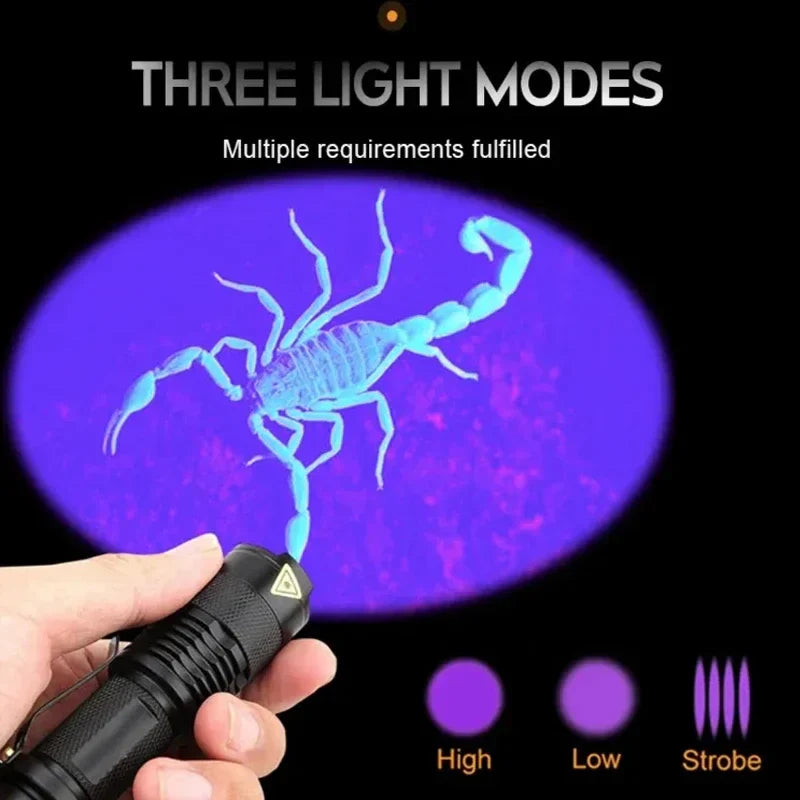 GlowInspect - Lampe UV pour Urine et Taches