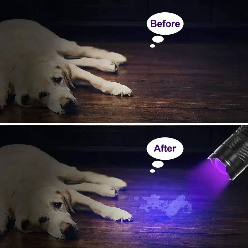 GlowInspect - Lampe UV pour Urine et Taches