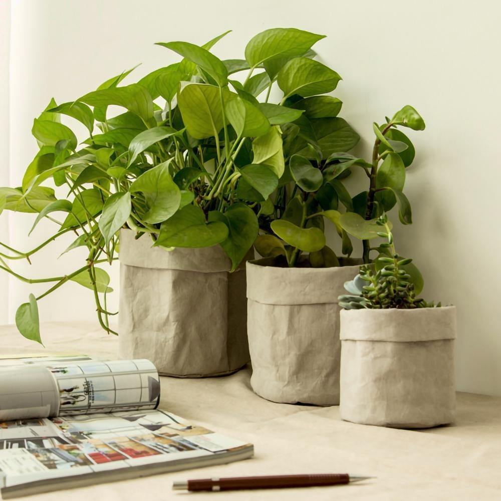 Floroux Planting Bag | Waterproof & Durable | Paper Plant Bag | Eco-Friendly & Stylish