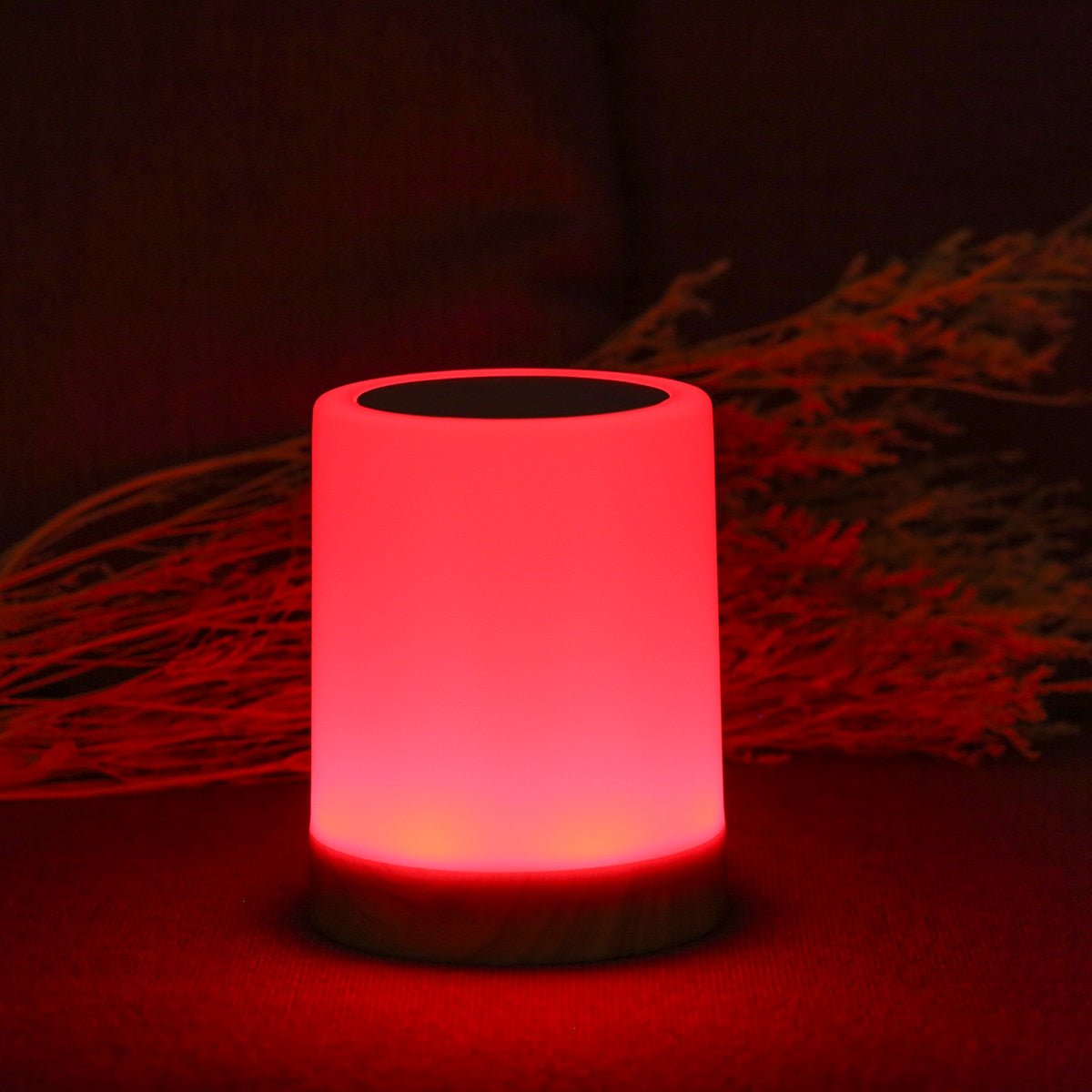 LumiHalina – Lampadaire Élégant avec Commande Tactile et Éclairage Personnalisable