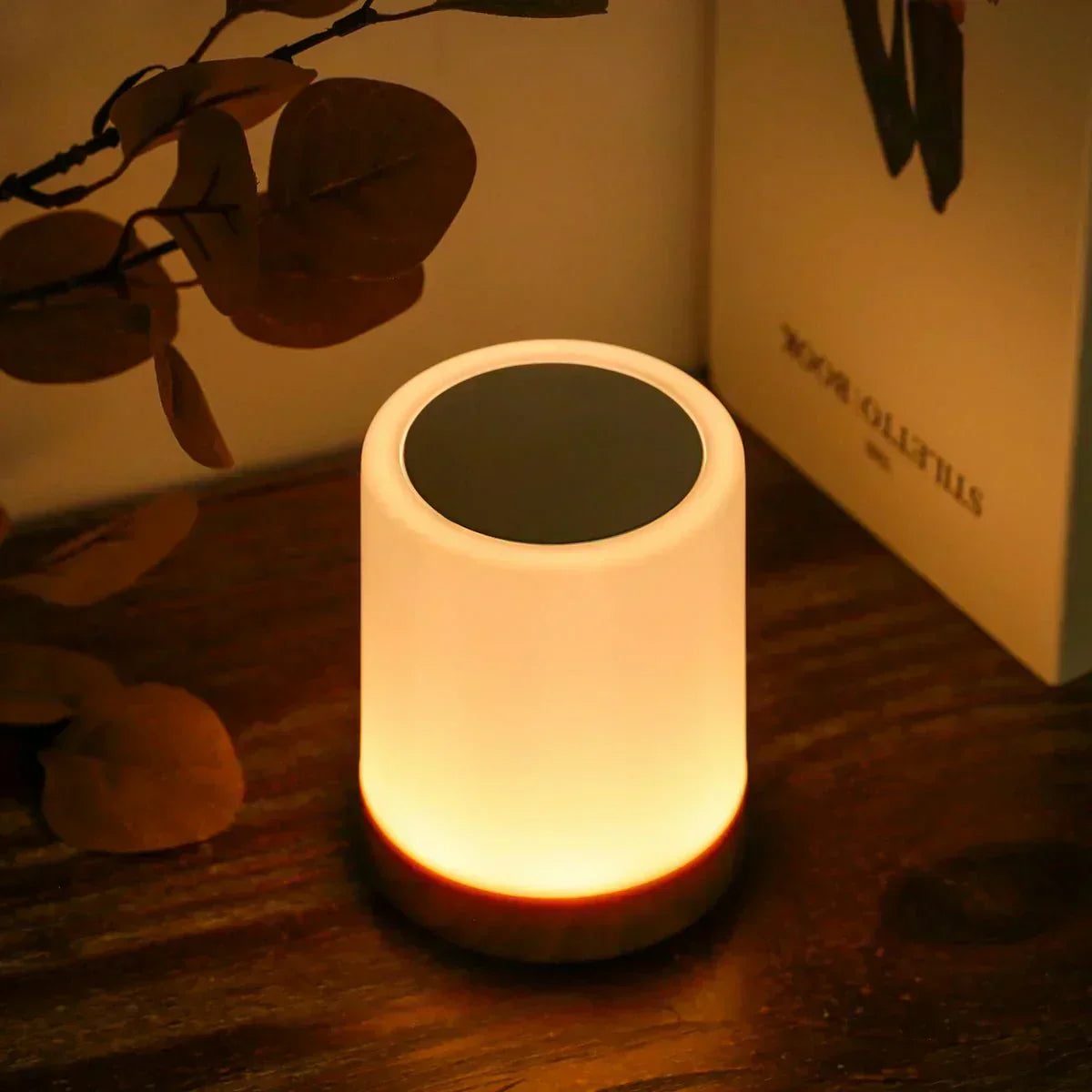 LumiHalina – Lampadaire Élégant avec Commande Tactile et Éclairage Personnalisable