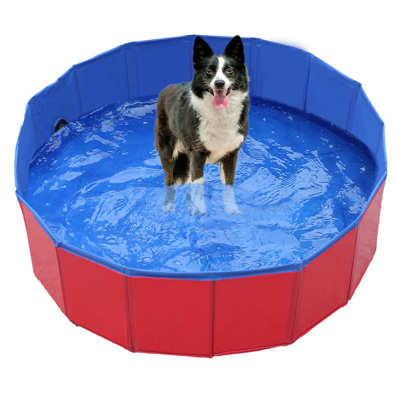 CoolPaws - Piscine de Luxe pour Chiens pour le Jardin