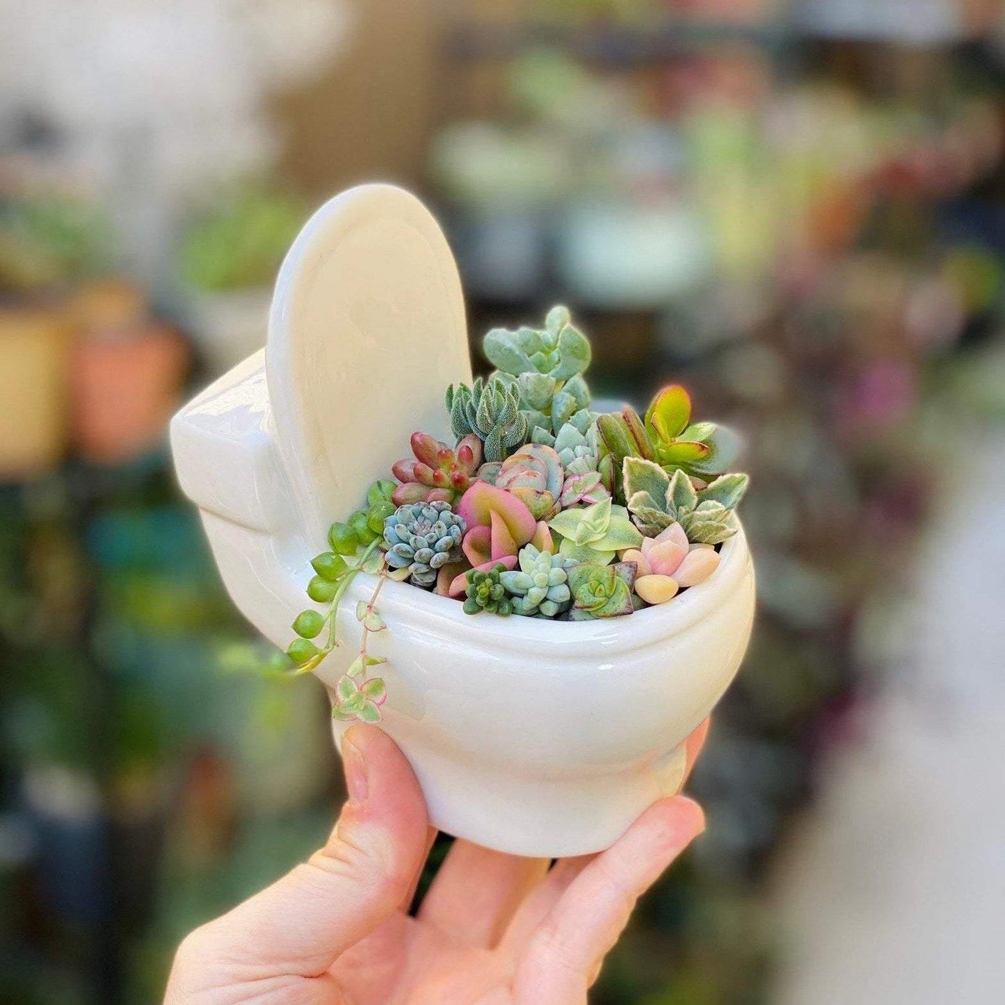Floroux Succulent Holder in Ceramic | Handmade | Decorative Plant Stand for Bathroom