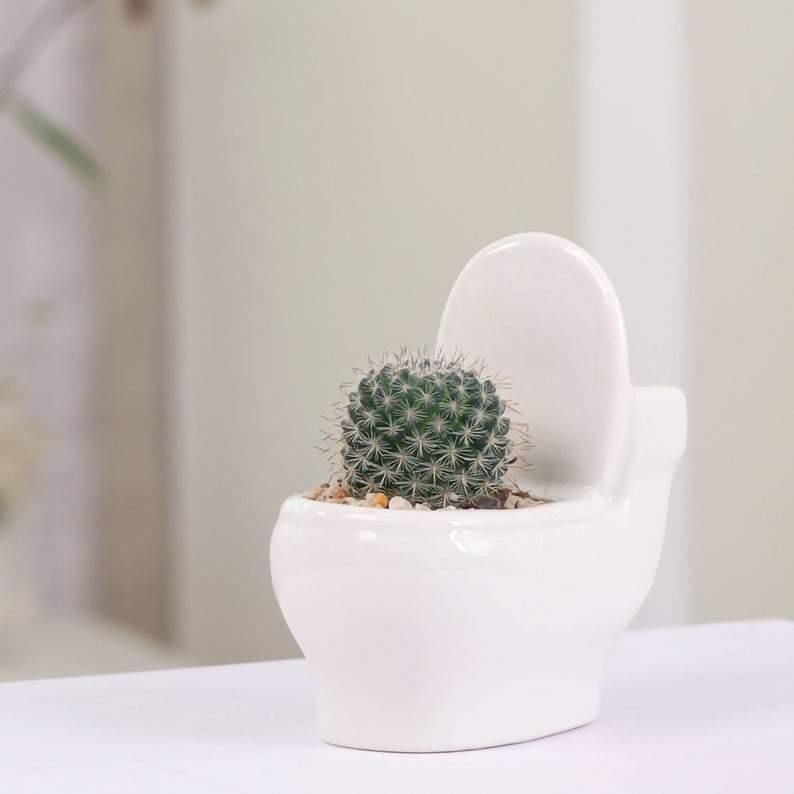 Floroux Succulent Holder in Ceramic | Handmade | Decorative Plant Stand for Bathroom