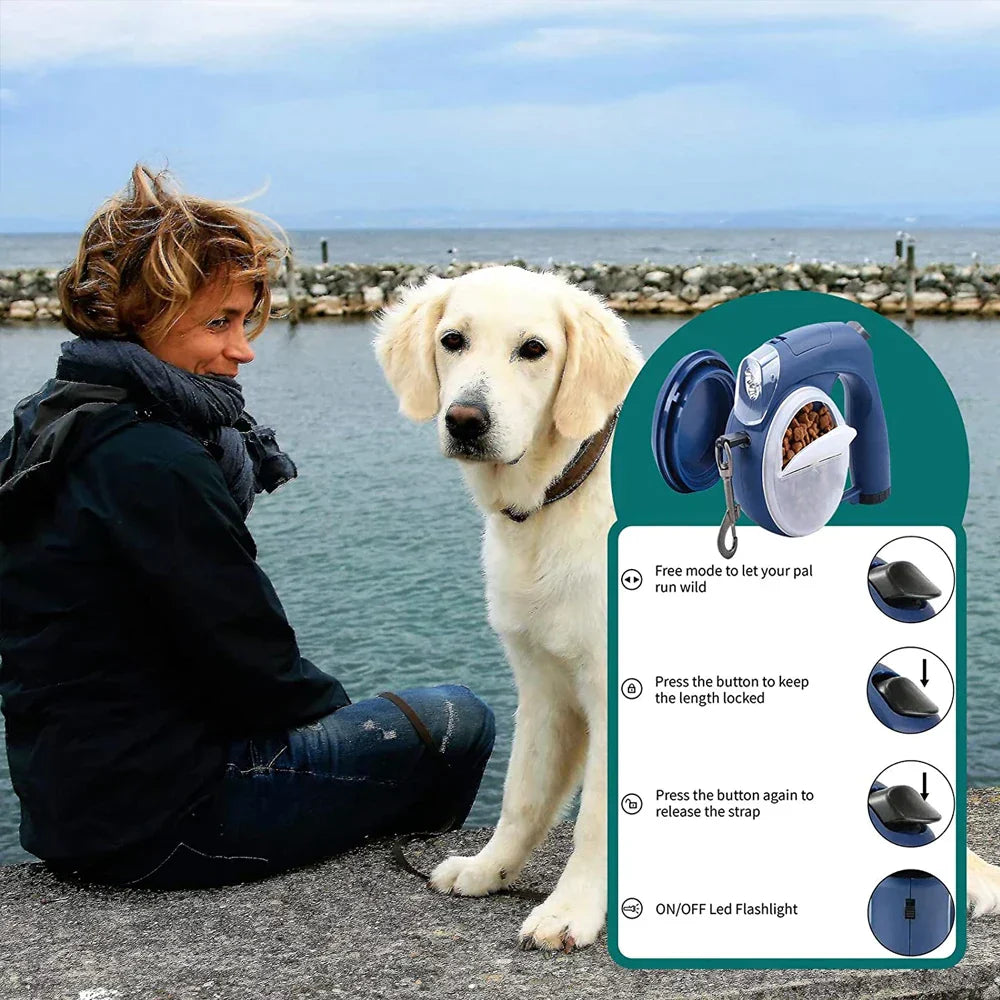 AdventurePaws Elite – Service de Promenade Canine Premium