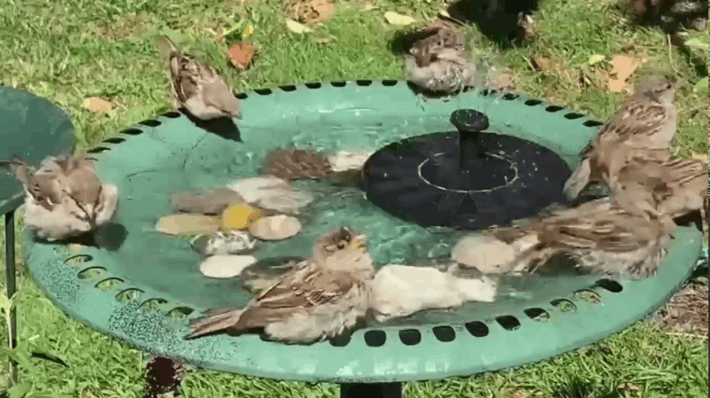TranquilFlow – Fontaine de Jardin Apaisante avec Lumière du Soleil