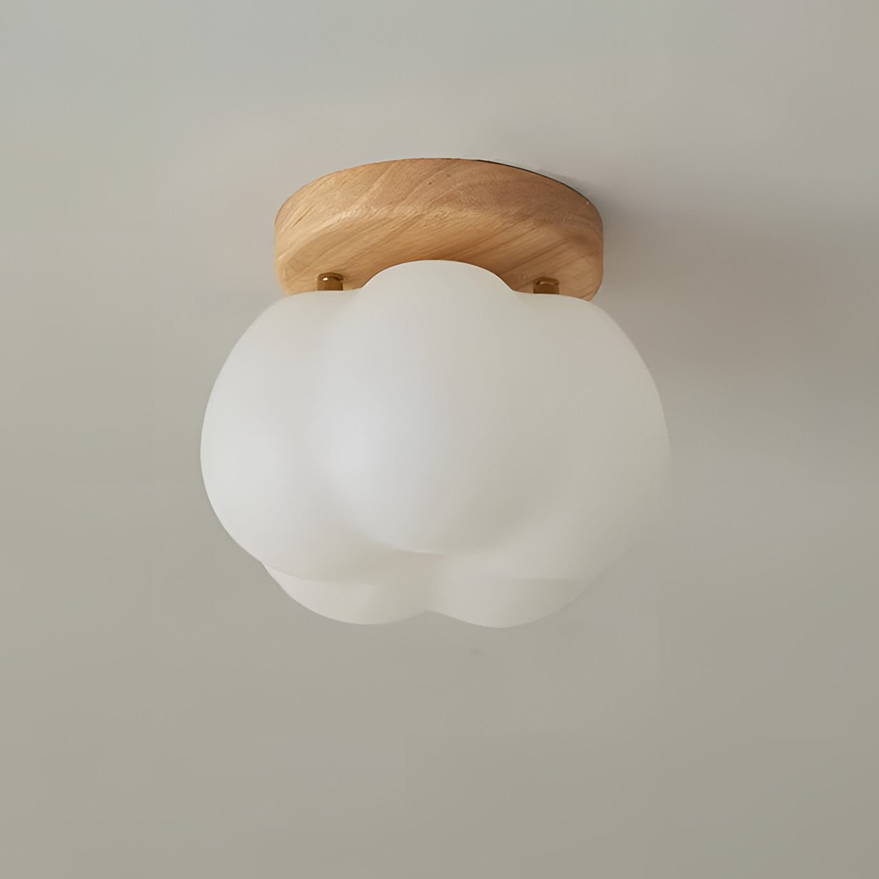 Floroux Flush Ceiling Light | LED Ceiling Lamp | Modern Design | Mood Light for Living Room & Bedroom