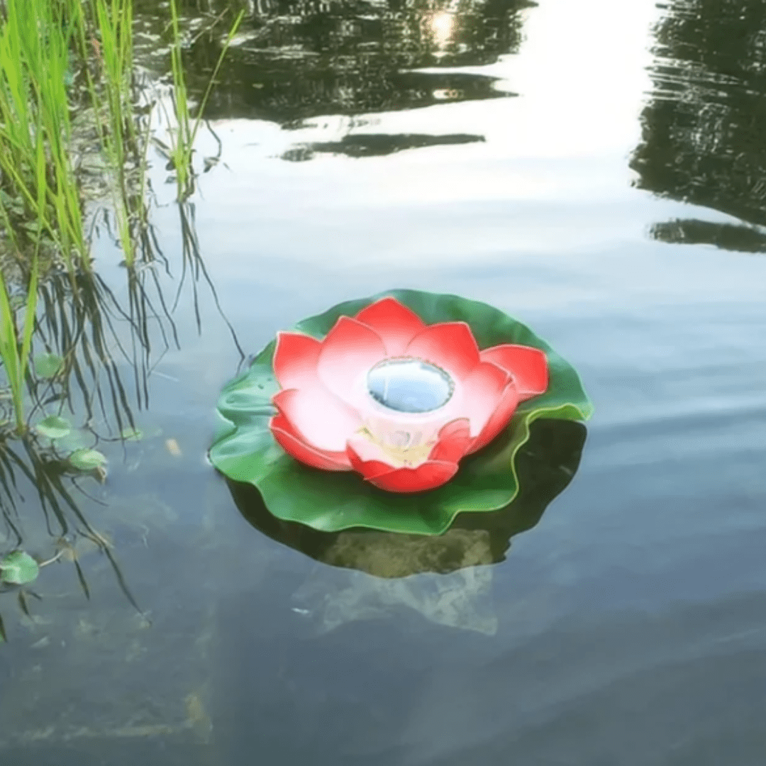 Floroux | Fontaine flottante enchanteresse