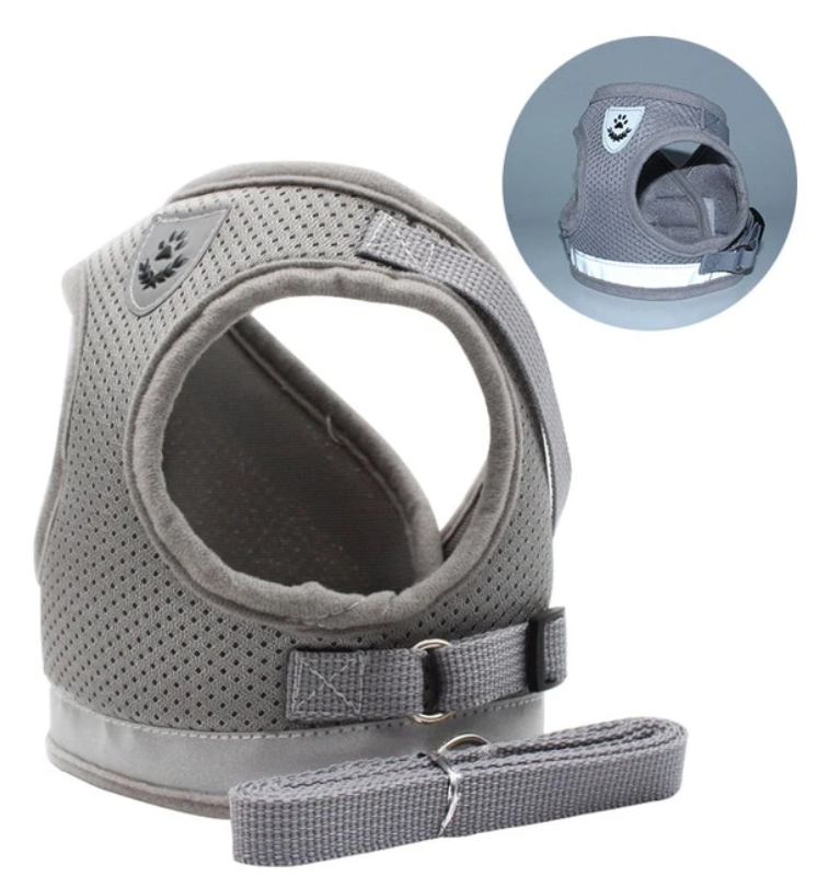 AdventureKit - Harnais Securisé pour Chats Aventuriers