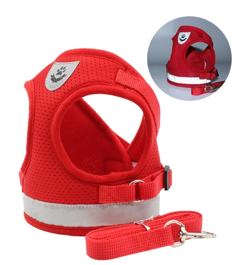 AdventureKit - Harnais Securisé pour Chats Aventuriers