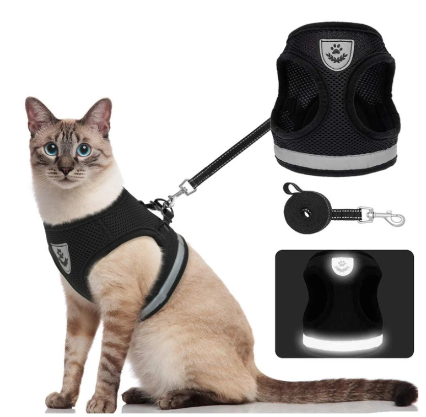AdventureKit - Harnais Sécurisé pour Chats Aventureux