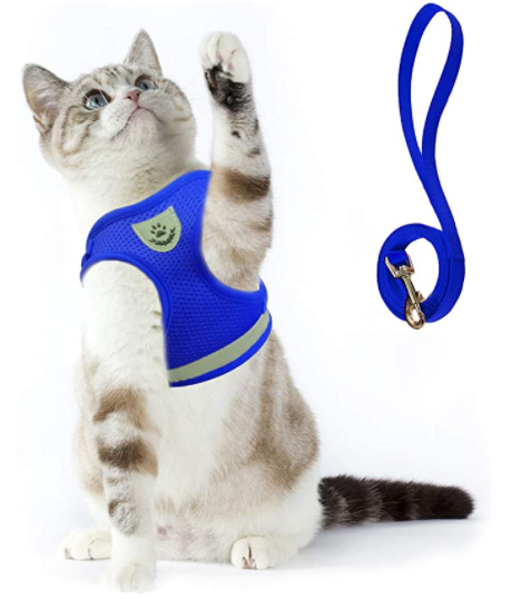 AdventureKit - Harnais Sécurisé pour Chats Aventureux