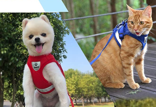 AdventureKit - Harnais Securisé pour Chats Aventuriers