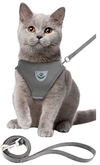 AdventureKit - Harnais Sécurisé pour Chats Aventureux