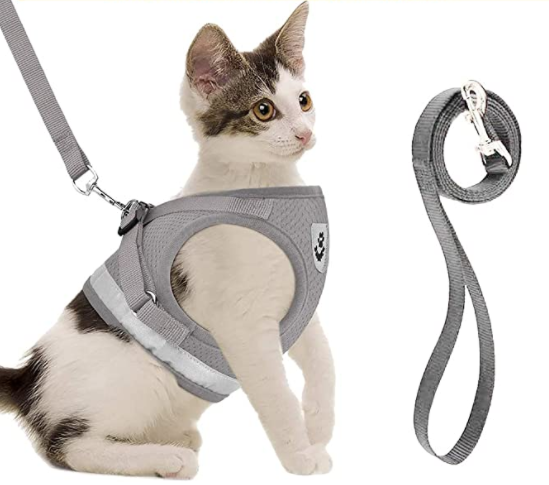 AdventureKit - Harnais Securisé pour Chats Aventuriers