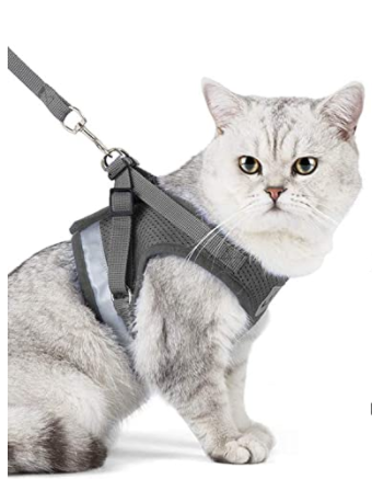 AdventureKit - Harnais Securisé pour Chats Aventuriers