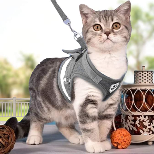 AdventureKit - Harnais Securisé pour Chats Aventuriers
