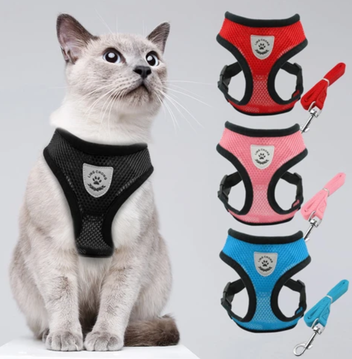 AdventureKit - Harnais Securisé pour Chats Aventuriers