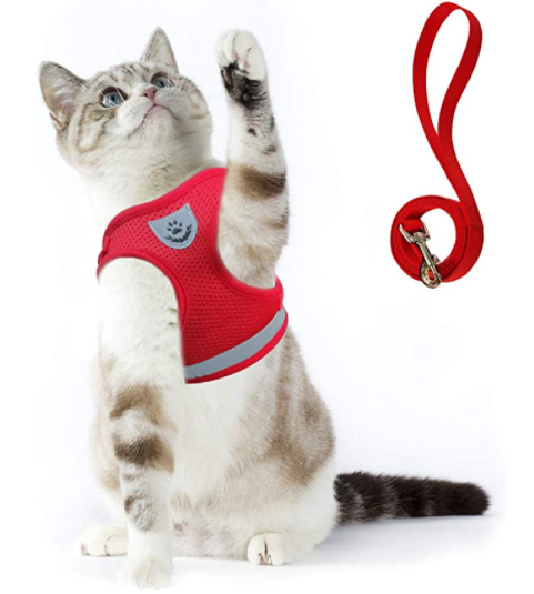 AdventureKit - Harnais Sécurisé pour Chats Aventureux