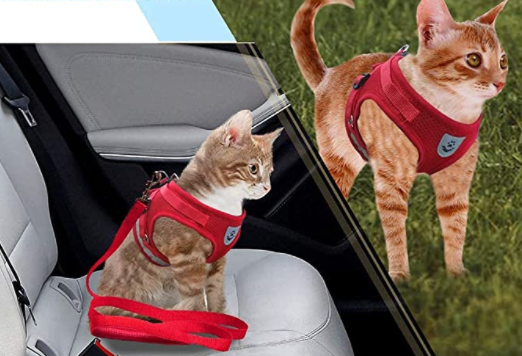 AdventureKit - Harnais Securisé pour Chats Aventuriers