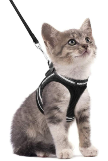 AdventureKit - Harnais Securisé pour Chats Aventuriers