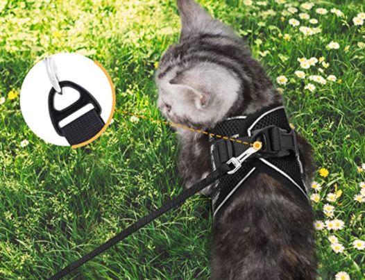 AdventureKit - Harnais Securisé pour Chats Aventuriers