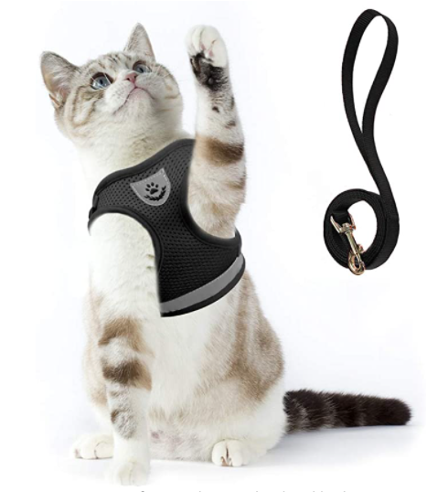 AdventureKit - Harnais Securisé pour Chats Aventuriers
