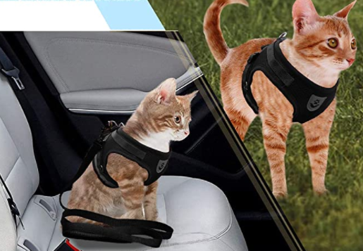 AdventureKit - Harnais Sécurisé pour Chats Aventureux