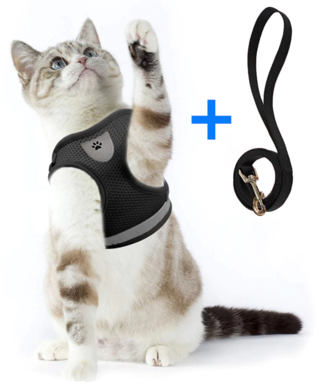 AdventureKit - Harnais Securisé pour Chats Aventuriers