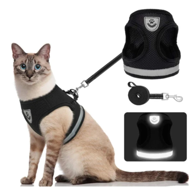 AdventureKit - Harnais Securisé pour Chats Aventuriers