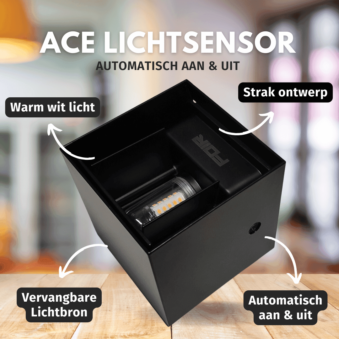 AceGlow Lampe extérieure - Interrupteur crépusculaire G9 IP65 Blanc chaud