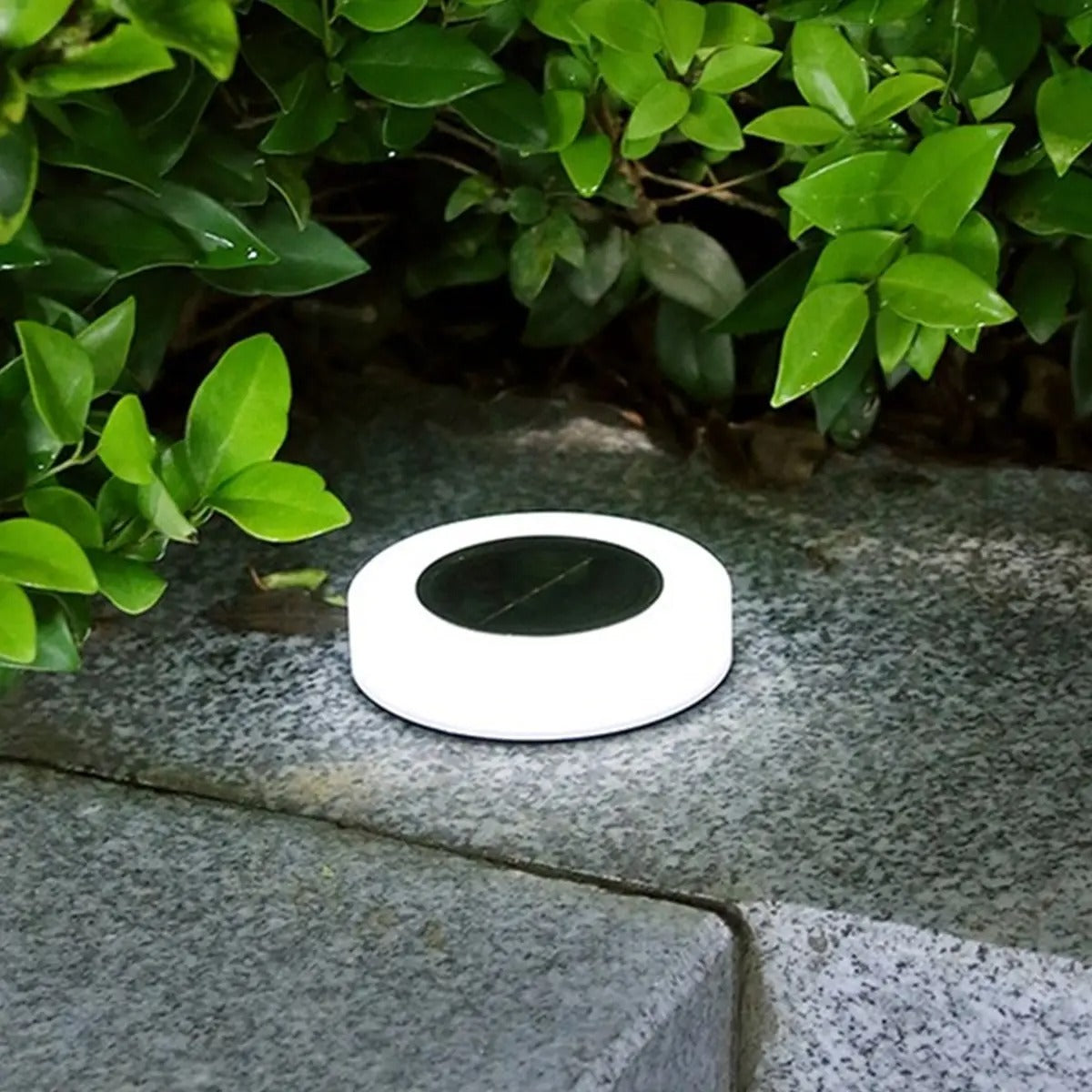 Floroux | Lampe de sol solaire luxueuse et fonctionnelle