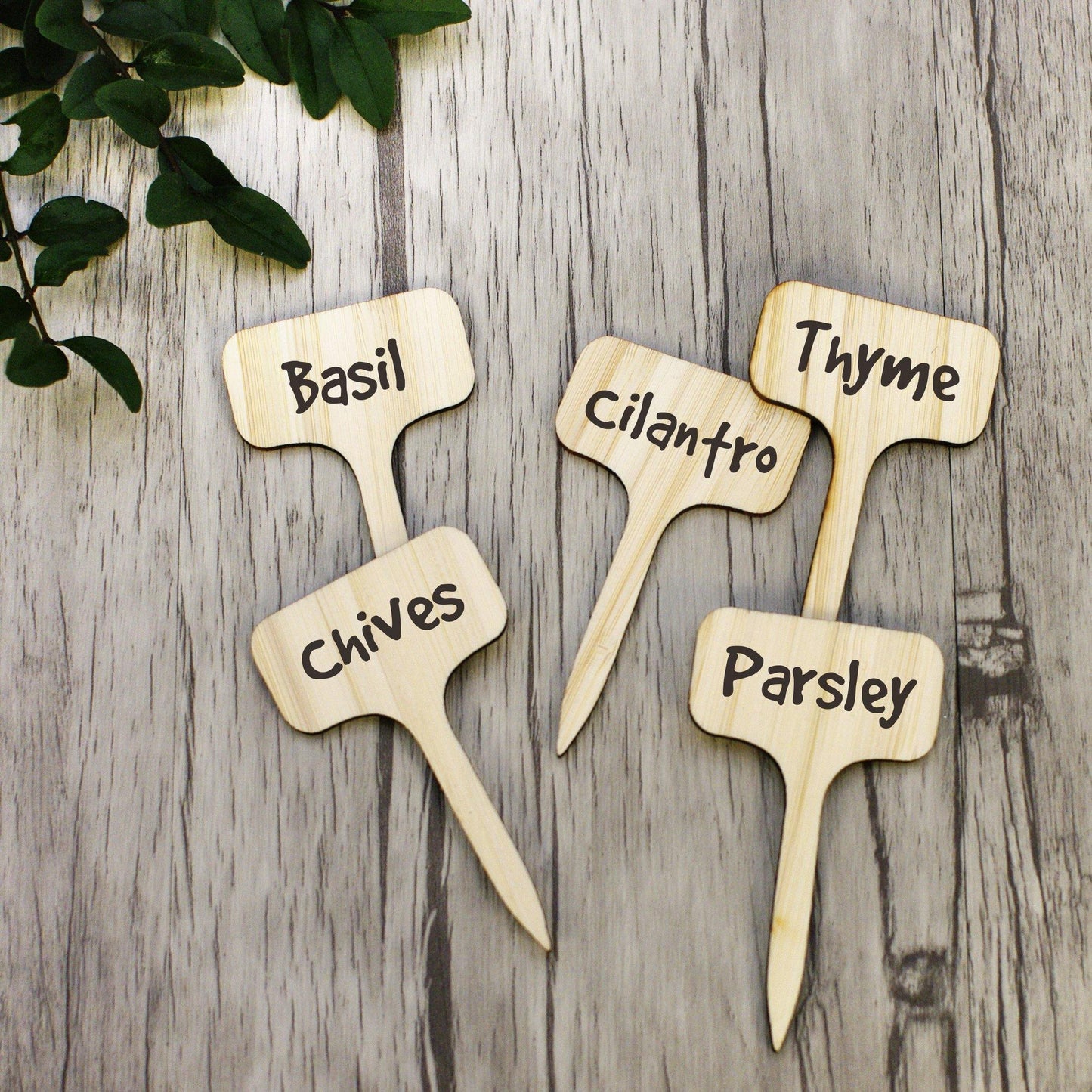Floroux Wooden Plant Labels | Environmentally Friendly | Perfect for Garden & Balcony | Marker Labels for Plants