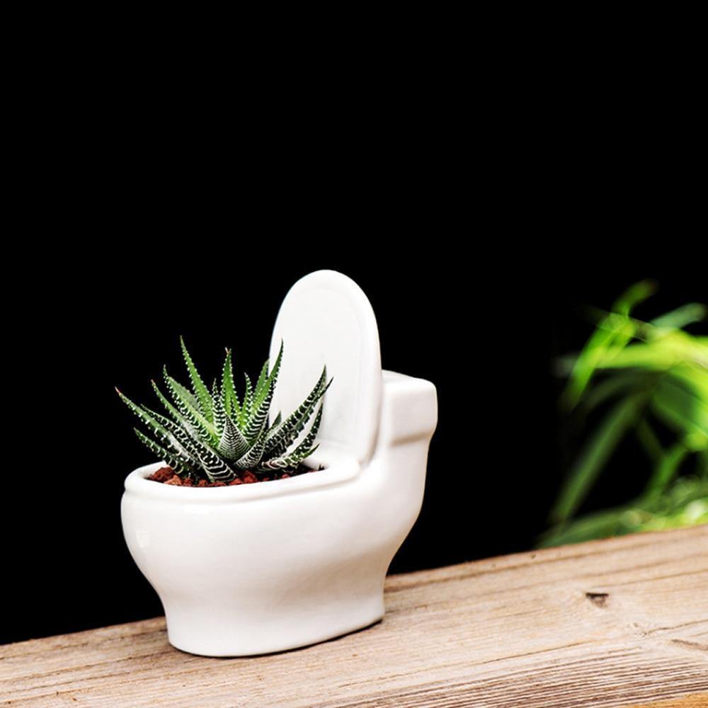 Floroux Succulent Holder in Ceramic | Handmade | Decorative Plant Stand for Bathroom