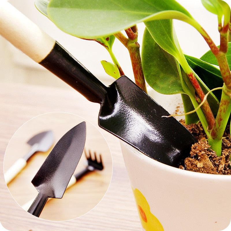 Floroux Indoor Gardening Tool Kit | Perfect for Indoor Plants | Practical and High Quality