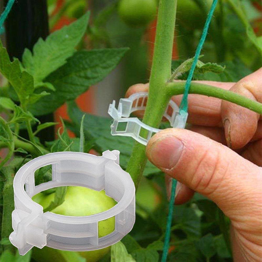 Floroux Support de plante Clip Set | Stabilité pour les tiges de plantes | Fixation facile | Soutien pour une croissance saine