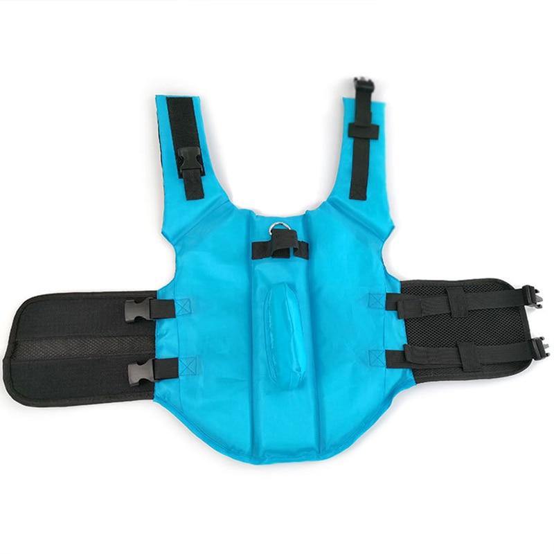 Gilet de natation pour chien requin